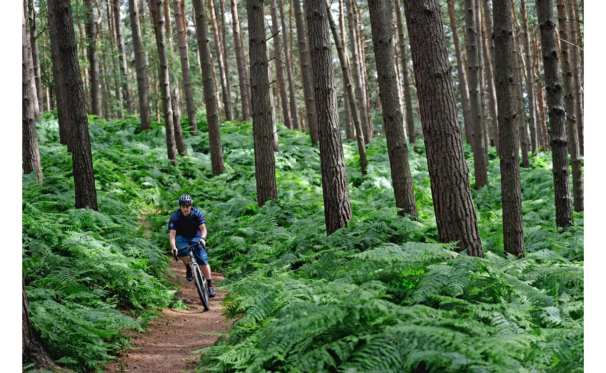 Genesis Fugio gravel bike