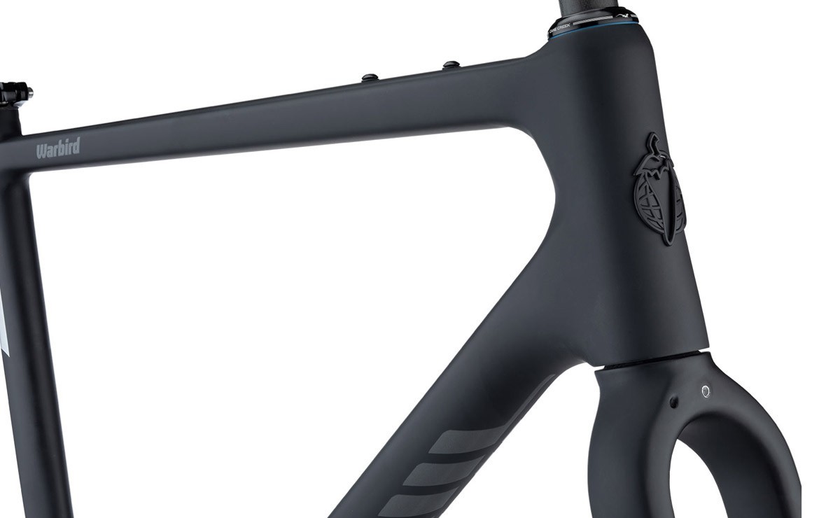 Salsa Warbird 2019 carbon gravel frame