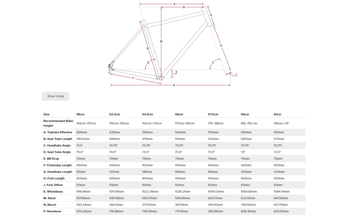Salsa Warbird 2019 carbon gravel frame