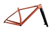 Merit Professor MTB 29er karbon rám