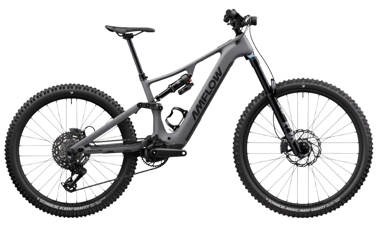 E-Bike Amflow PR Carbon Pro 800Wh DJI Avinox M2S